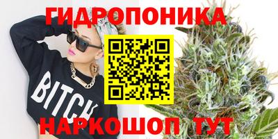 мяу мяу мука Будённовск