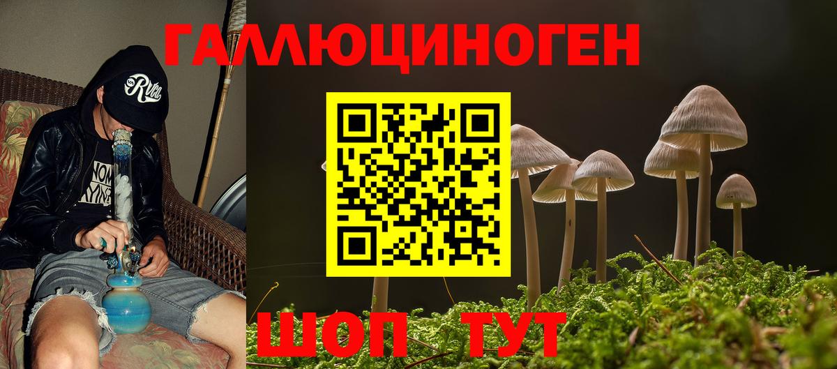 Котлас  Галлюциногенные грибы Psilocybine cubensis  Вход с VPN 
